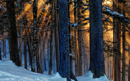 613079 (a): :2560x1600